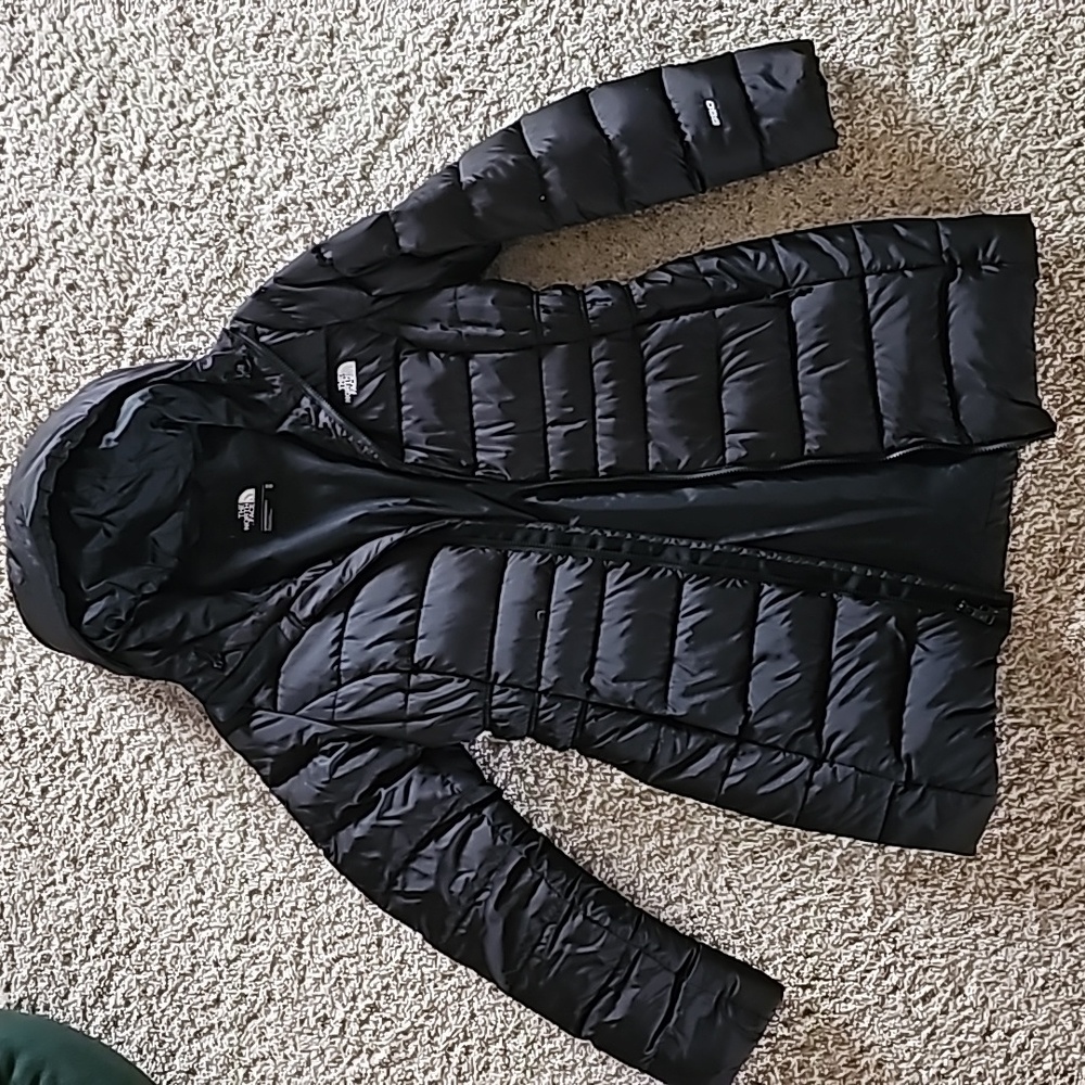 TheNorthFace 550 jacket